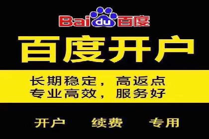 百度SEO推广案例：案例分析及优化方案